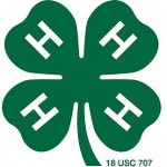 Focus on 4-H for January 19, 2024