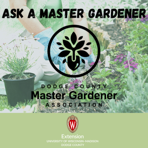 Ask A Master Gardener –  The Benefits of Annual Flowers in the Home Landscape