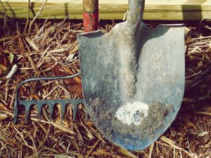 Ask A Master Gardener – Proper Cleaning & Storage of Garden Tools