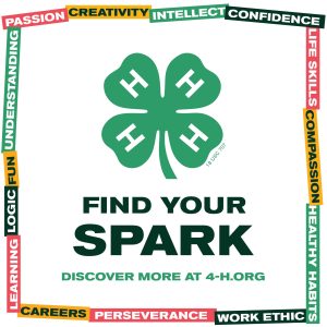 Let 4-H be your Spark!