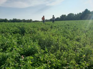 Dodge and Fond du Lac County Forage Council Summer Twilight Meeting