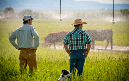 Ag Community Mental Health First Aid Sessions