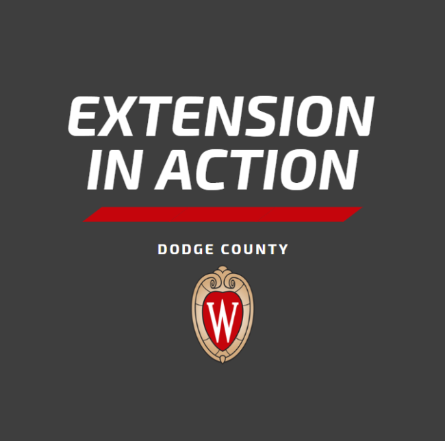 EXTENSION IN ACTION – May 2025