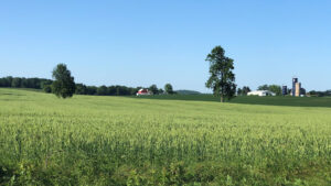 August Field Day – Dodge County Farmers for Healthy Soil Healthy Water