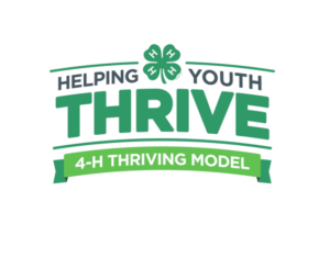 Helping Youth Thrive Survey & Results