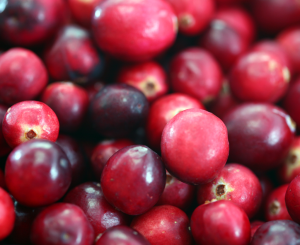 Harvest of the Month = Cranberries