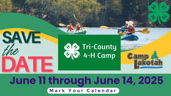 Save the Date - 4-H Summer Camp