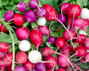 March Harvest of the Month