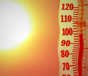 🌞Heat Awareness Day