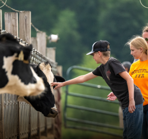 Dairy Did You Knows 🐮