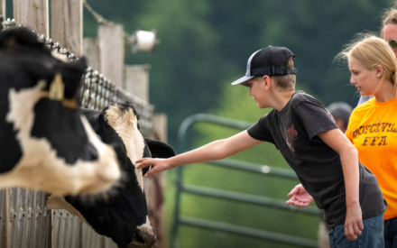 Dairy Did You Knows 🐮