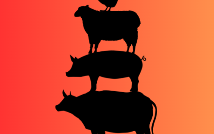 🐄 Heat Hacks for Happy Herds!