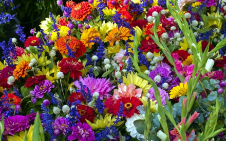 Want to be a Wisconsin Master Gardener?