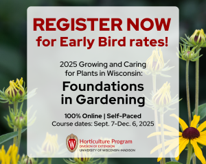 Early Bird Gets the Worm (and the Discount)! 🐦