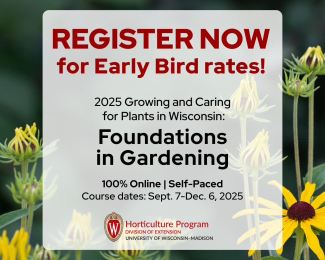 Early Bird Gets the Worm (and the Discount)! 🐦