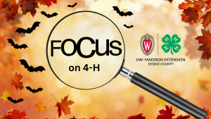 Focus on 4-H for October 29, 2025