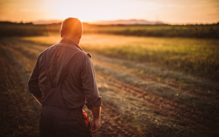 Farm Families Coping with Dementia (FFCD)