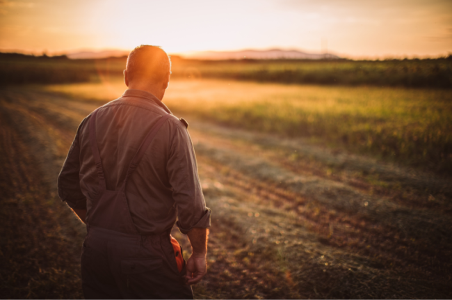 Farm Families Coping with Dementia (FFCD)