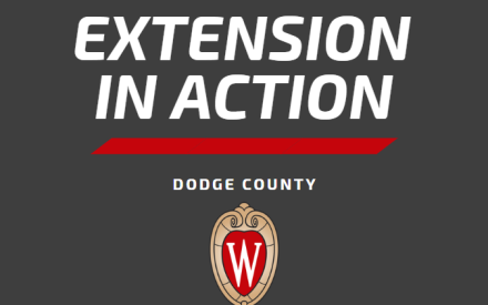 Extension in Action – January 2026