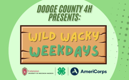 Wild Wacky Weekdays