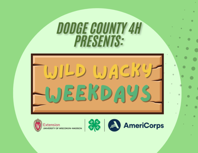 Wild Wacky Weekdays